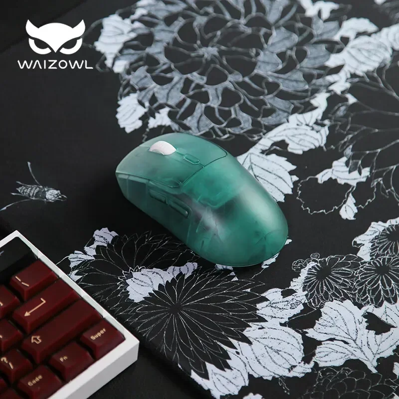 Waizowl OGM Pro Wireless Mouse - Laptop Electronics Accessories review and price